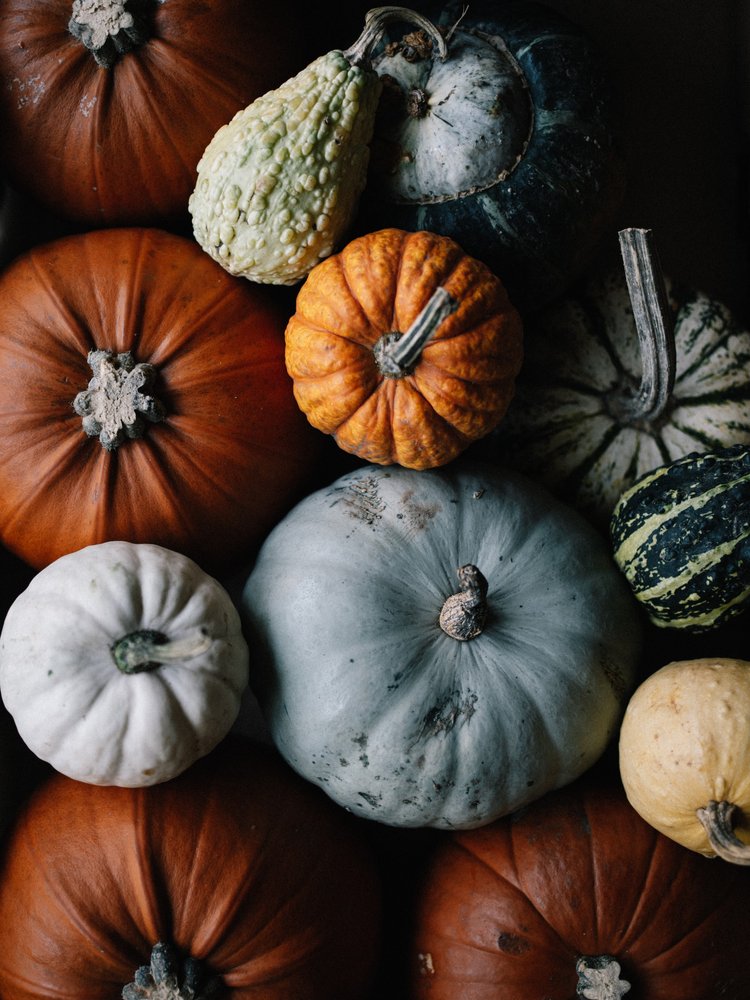 Pumpkin Power! – Don’t just carve them, cook them!